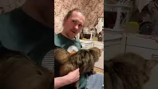 Странный муж ?