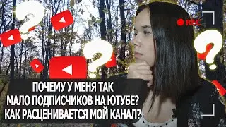 Почему у меня так мало подписчиков на Ютубе и как расценивается мой канал?