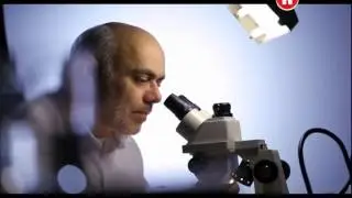 Наукаgg 20