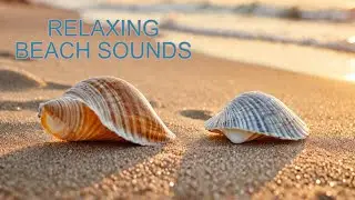 ASMR BEACH SOUNDS 🏖️ Relaxing Ocean Waves Sounds for Sleep, Study, Spa, Meditation