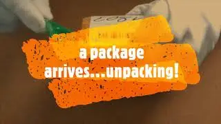 Canon Pixma iP7250 - error B200 - new Printhead QY6 0082 purchase, unpacking and test