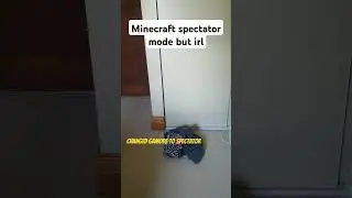 Minecraft spectator mode irl 