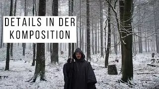 Waldfotografie- Details in der Komposition