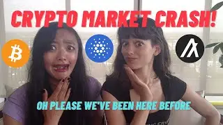 CRYPTO MARKET CRASH! Why We Shouldn't Panic