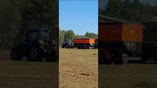 #LOVOL 2604 на уборке чечевицы. Омская область, "ООО Ястро-Агро"