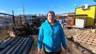 Рыжий.
