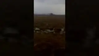 Охота на гуся 2017 разведка
