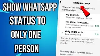 How To Show WhatsApp Status To Only One Person