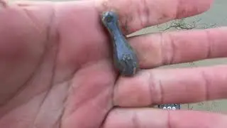 I found GOLD on the beach