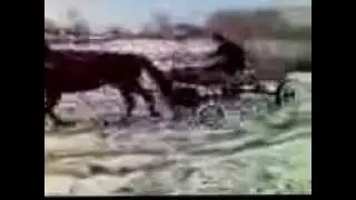 кобилка