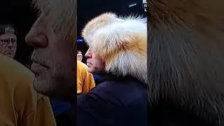 Joe Rogan furry hat 😆