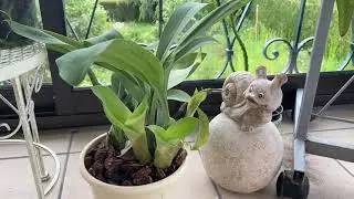 Покупки из теплицы✨✨