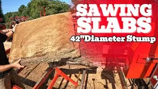 Sawing Wide Slabs / Boards from a 42" Diameter Red Oak