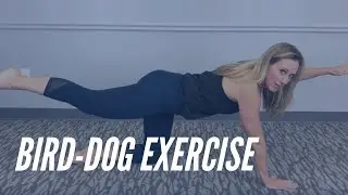 Bird - Dog Exercise - CORE Chiropractic Exercises