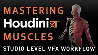 Mastering Houdini Muscles: A Studio Level VFX Workflow (Trailer)
