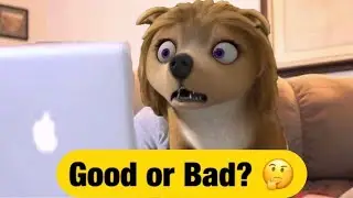 Review of Alpha and Omega (from a fan’s perspective) | Coltafanan Studios