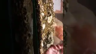 Голодный рыб😂😂🤣