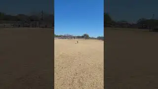 Sunny fetch 1