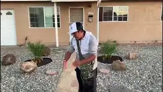 miren el trabajo que nuestro amigo rosas landscaping a echo