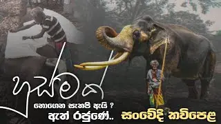 සුබ ගමන් ඇත්රජුනේ - නැදුන්ගමුවේ රාජා(Nadungamuwe Raja)