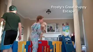 Frosty's Great Puppy Escape