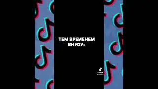 TikTok лучшее на сегодня