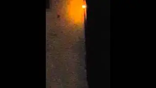 Хваленый немецкий порядок. Обалдеть!!!