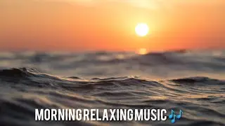 relaxed morning music | ROYALTY FREE |good day | Live music 🎵 #healyourmind