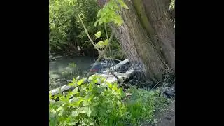 экологическая катастрофа в Донском