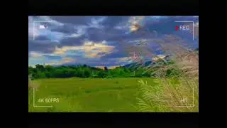 KELUHAN JIWA (Qasida)💫 Cover MR Yhadi🌴 #qasida