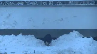 Злая девочка и снег!