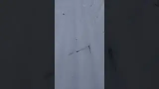 беговые лыжи летят под снегом ❄❄❄