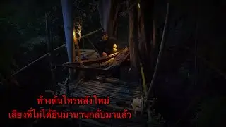 นอนห้างต้นไทรใหม่ กับความหลอนของต้นไทรยักษ์