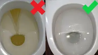 A toilet like new for pennies and without any ammonia or vinegar!!!
