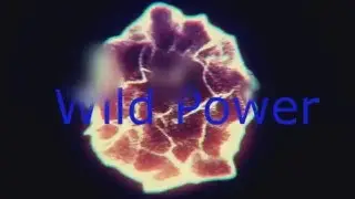 собаки атакуют