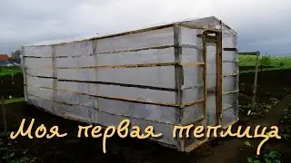 Теплица. Моя первая теплица. Начало.