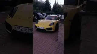 Питерские cars😎 #cars #shorts