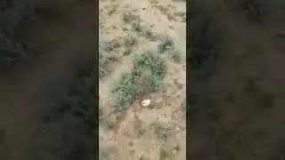 Когда они уже надоели!