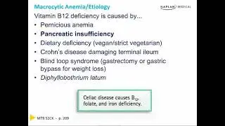 Macrocytic Anaemia : Chapter 3