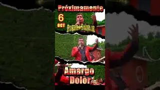 AMARGO DOLOR 1 #music #sentimentos #potrosalvaje #findesemana