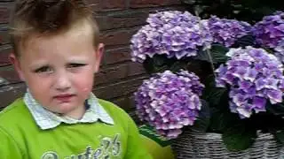lachen Levi..