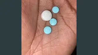 Wild Sh!T