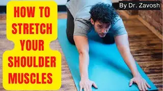 How To Stretch Your SHOULDER MUSCLES