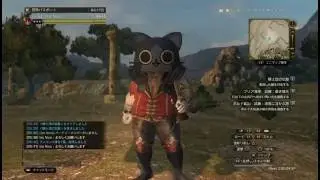 【DDON】ファイター新スキル 豪溜斬りLv6 テルサイ試し斬り【参考程度】