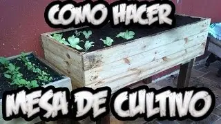 How to Make a Grow Table with Pallets || Urban Garden || Toni's Little Garden