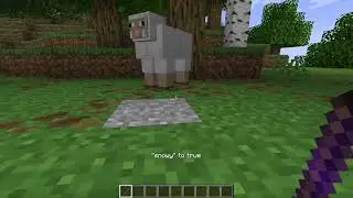 How To Get The Debug Stick Minecraft (Java)