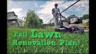 Fall Lawn Care Renovation Tips - A Step by Step Plan to Improve Your Lawn