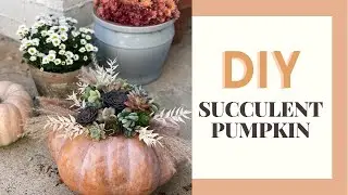 DIY Succulent Pumpkin