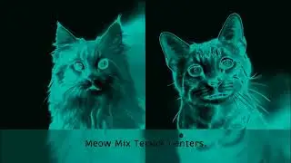 Preview 2 Meow Mix Commercial V2