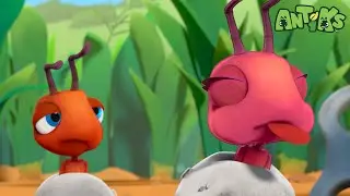 Blowing Raspberries | Antiks 🐜 | Funny Cartoons for Kids